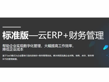 标准版—云ERP+财务管理